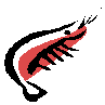 shrimp 10