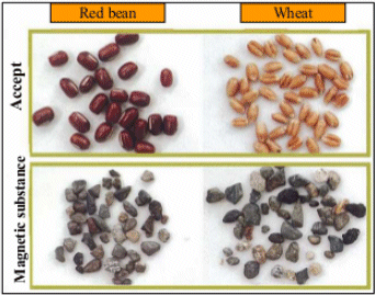photos showing the separated grain and the separated, rejected stones and unwanted debris