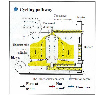 yamamoto illustration of dimensionc and cycling pathway of circulating dryring device storage device Dry Depo SBD-3GSM -21new6.jpg - 48543 Bytes