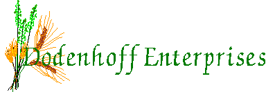 Dodenhoff Enterprises
